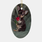 Chiwawa MerryRose tenant un ornement de rose (Droite)