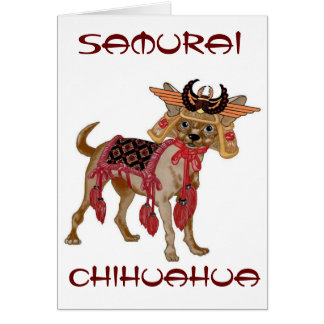 Chiwawa samouraï