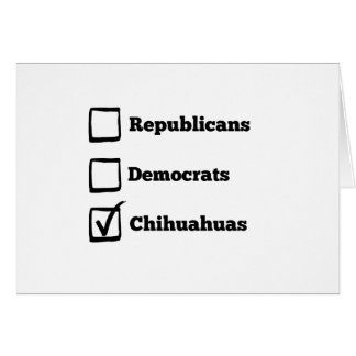 Chiwawas de sélection ! Chiwawa politique