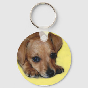 Chiweenie Puppy Sleutelhanger