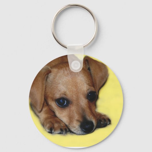 Chiweenie Puppy Sleutelhanger (Voorkant)
