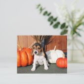 Chloe - Beagle Photo-1 Briefkaart (Staand voorkant)