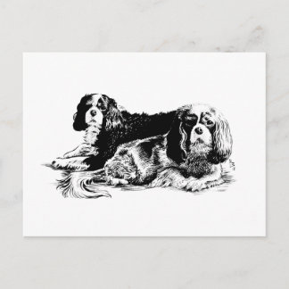 Chloe en Ollie briefkaart