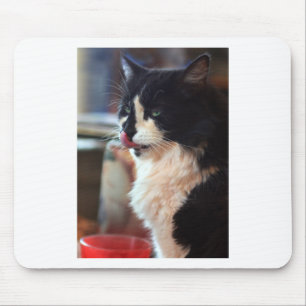 Chloe Licks Muismat