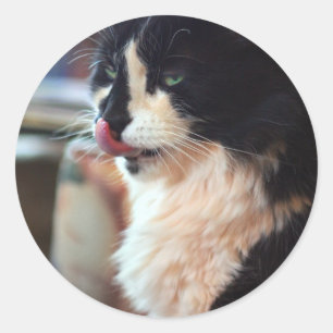 Chloe Licks Ronde Sticker