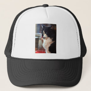 Chloe Licks Trucker Pet