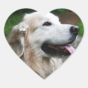 CHO CHO Blad van stickers