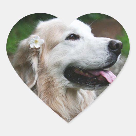 CHO CHO Feuille de stickers (Devant)