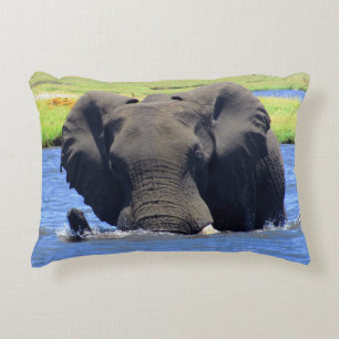 Chobe Elephant Sierkussen Accent Kussen