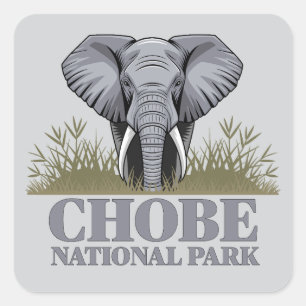 Chobe Nationaal Park Botswana Vierkante Sticker