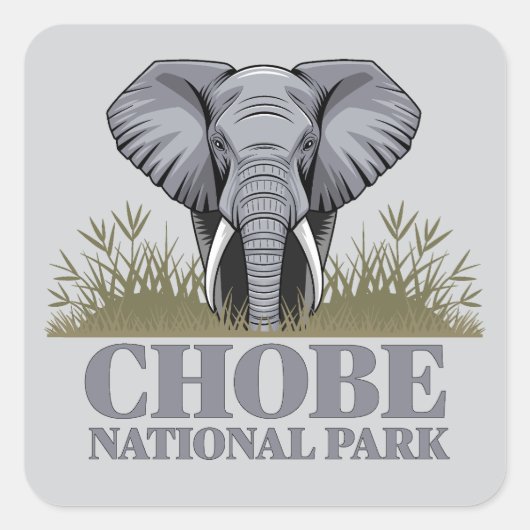 Chobe Nationaal Park Botswana Vierkante Sticker (Voorkant)