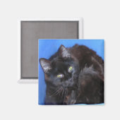 CHOCOLAAT KAT MAGNEET (Voorkant / Achterkant)