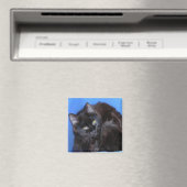 CHOCOLAAT KAT MAGNEET (Insitu (Vaatwasser))