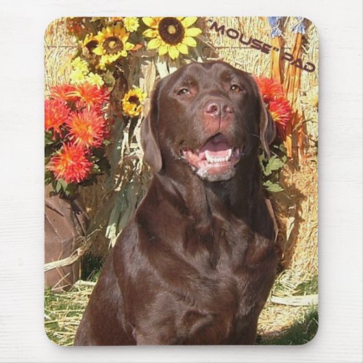 CHOCOLAAT LAB MOUSEPAD MUISMAT (Voorkant)