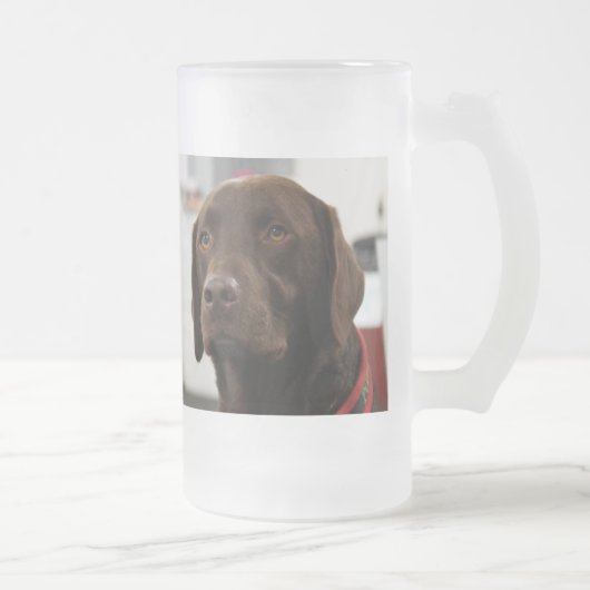 CHOCOLAAT LABRADOR-MOK MATGLAS BIERPUL (Rechts)