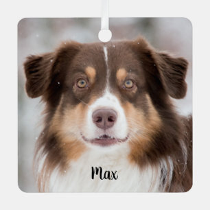 Chocolade Australian Shepherd Puppy Dog Metalen Ornament