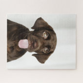 Chocolade Brown Lab Puppy Legpuzzel (Horizontaal)