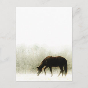 Chocolade bruin paard in de mist briefkaart