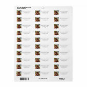 Chocolade Bruin Pommerse Kerstmis Adres Etiket (Full Sheet)