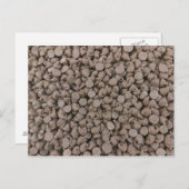 Chocolade Chip Briefkaart (Voorkant / Achterkant)
