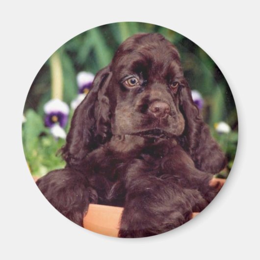 Chocolade cocker magneet (Voorkant)