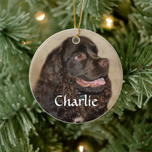 Chocolade Cocker Spaniel Ornament (Boom)