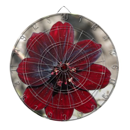 Chocolade Cosmos Flower Dartbord (Voorkant)