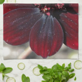 Chocolade Cosmos Flower Theedoek (Gevouwen)