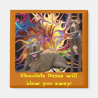 Chocolade Dane Blast Magneet