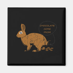 Chocolade Eieren Van Pasen Magneet
