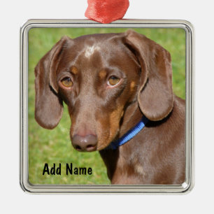 Chocolade en Tan Dachshund - Doxie Metalen Ornament
