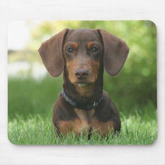 Chocolade en Tan Dachshund - Doxie Muismat (Voorkant)