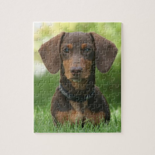 Chocolade en tan Dachshund Legpuzzel (Verticaal)
