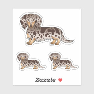 Chocolade en Tan Dapple Long Hair Dachshund Dogs Sticker
