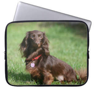 Chocolade en Tan Long-hire Miniature Dachshund Laptop Sleeve