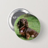 Chocolade en Tan Long-hire Miniature Dachshund Ronde Button 5,7 Cm (Voorkant /achterkant)
