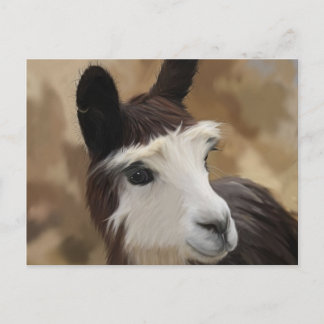 Chocolade en witte alpaca briefkaart