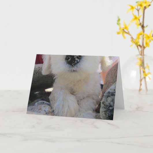 Chocolade I Smell Fun Custom Cute Goldendole pup Kaart (Gele Bloem)