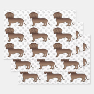 Chocolade Kortharige Dachshond Cartoonhond Patroon Inpakpapier Vel