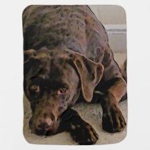 Chocolade lab babydeken