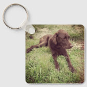 Chocolade Lab dat in grasfoto's ligt Sleutelhanger (Voorkant)