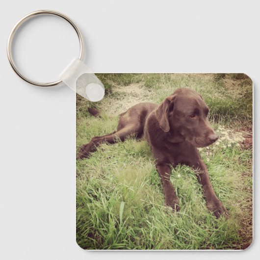 Chocolade Lab dat in grasfoto's ligt Sleutelhanger (Voorkant)