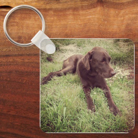 Chocolade Lab dat in grasfoto's ligt Sleutelhanger (Voorkant)