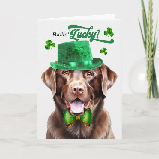Chocolade Lab Dog Feelin' Lucky St Patrick's Day Feestdagen Kaart (Voorkant)