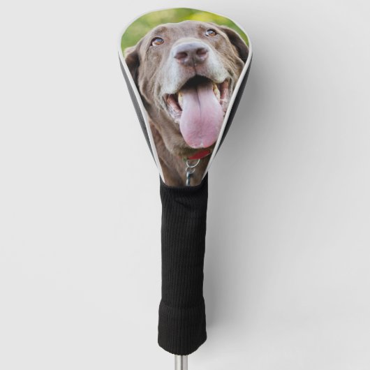 Chocolade Lab Dog Golfheadcover (Voorkant)