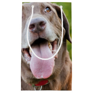 Chocolade Lab Dog Klein Cadeauzakje