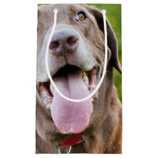 Chocolade Lab Dog Klein Cadeauzakje