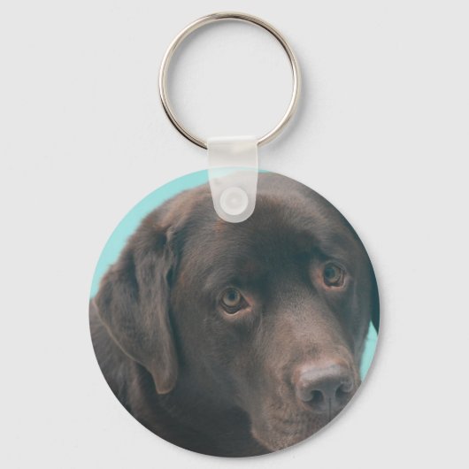 Chocolade Lab Dog Sleutelhanger (Voorkant)