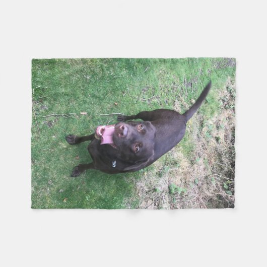 Chocolade Lab Fleece Deken (Voorkant (Horizontaal))