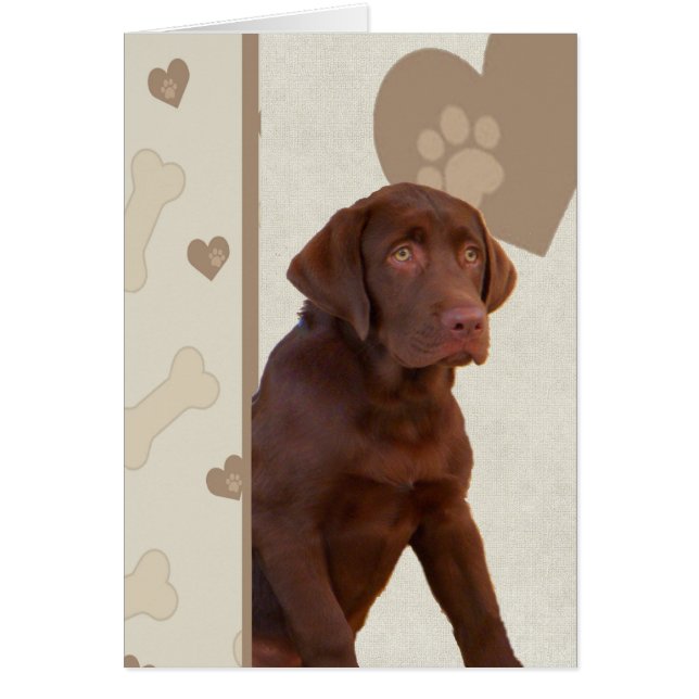 Chocolade Lab heeft hart (Voorkant)